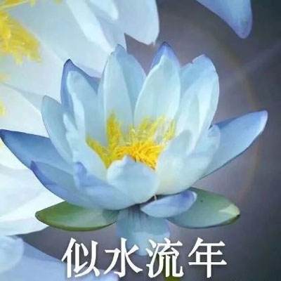 响之轨迹手游九游版下载