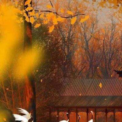 率土之滨折扣端下载